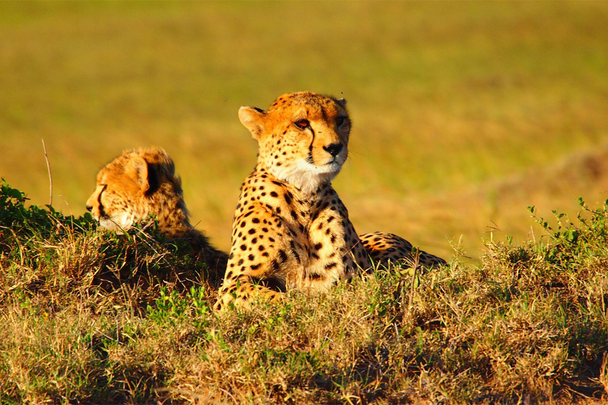 Serengeti National Park