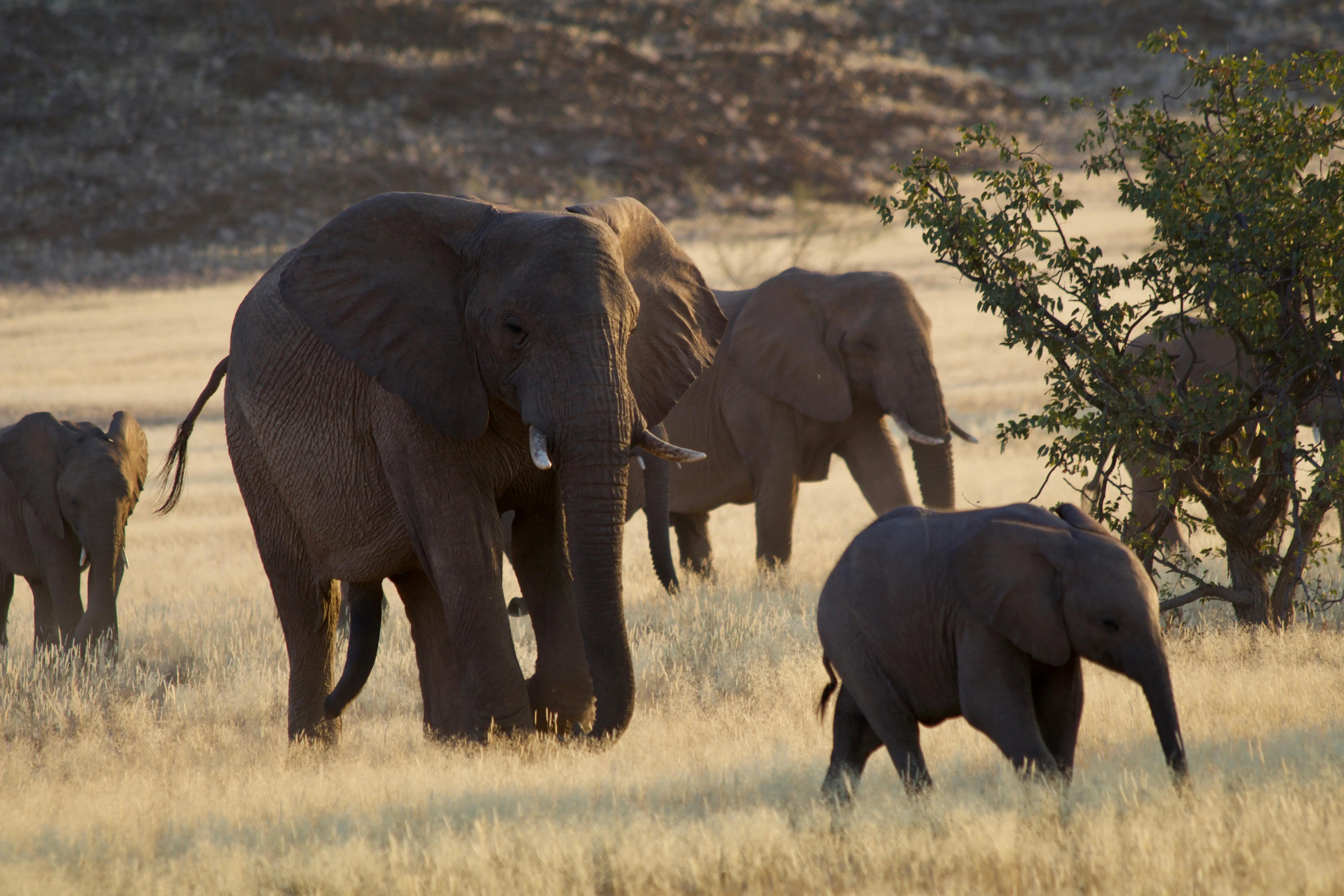 Tarangire National Park