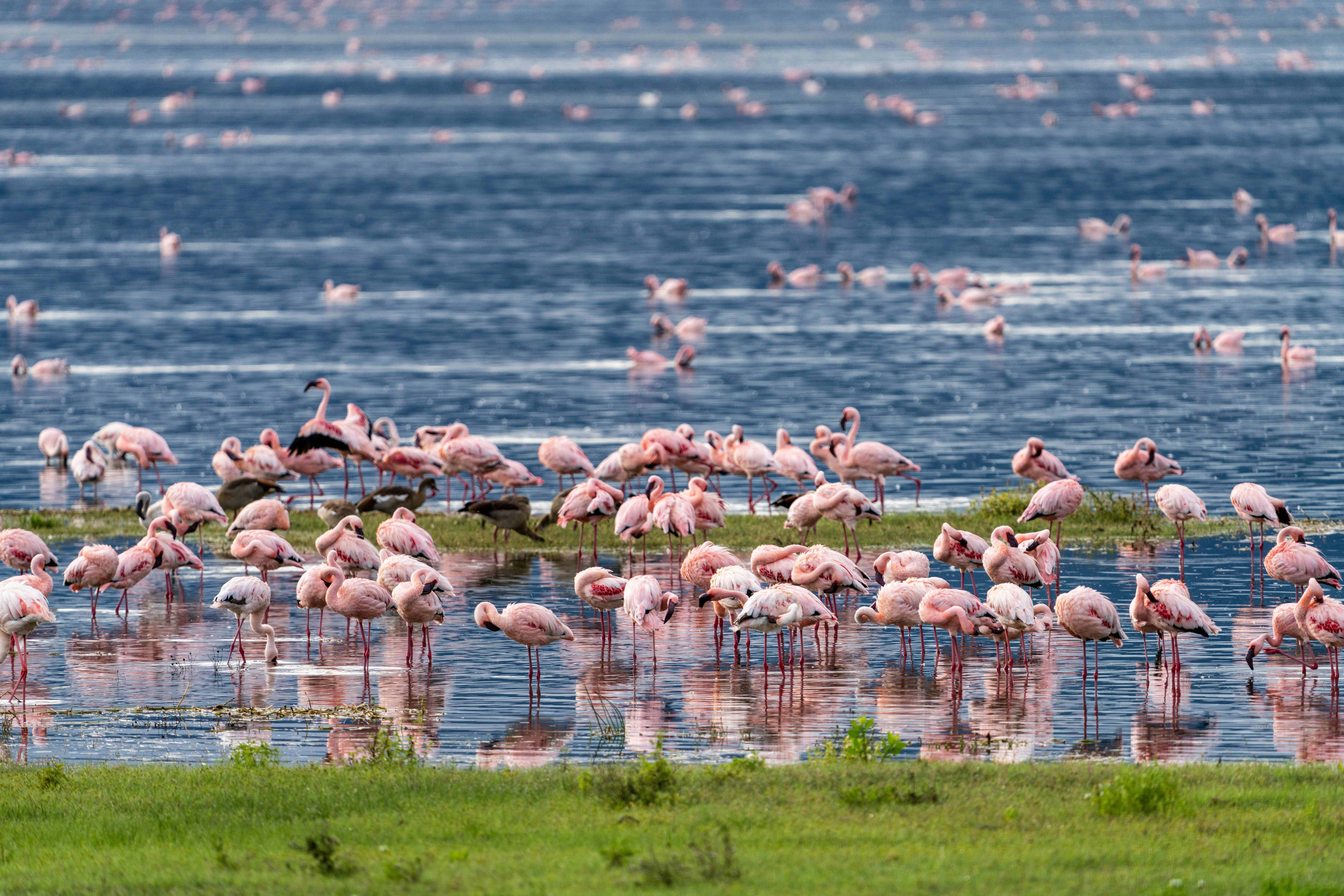 Lake Magadi
