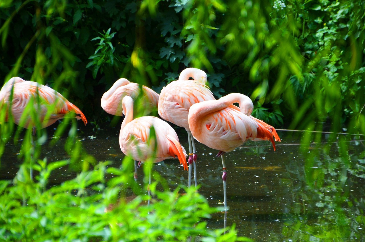 Lake Manyara