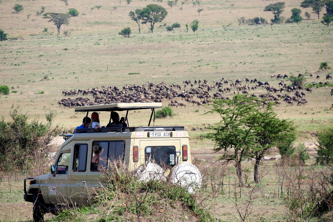 Safari Vehicle