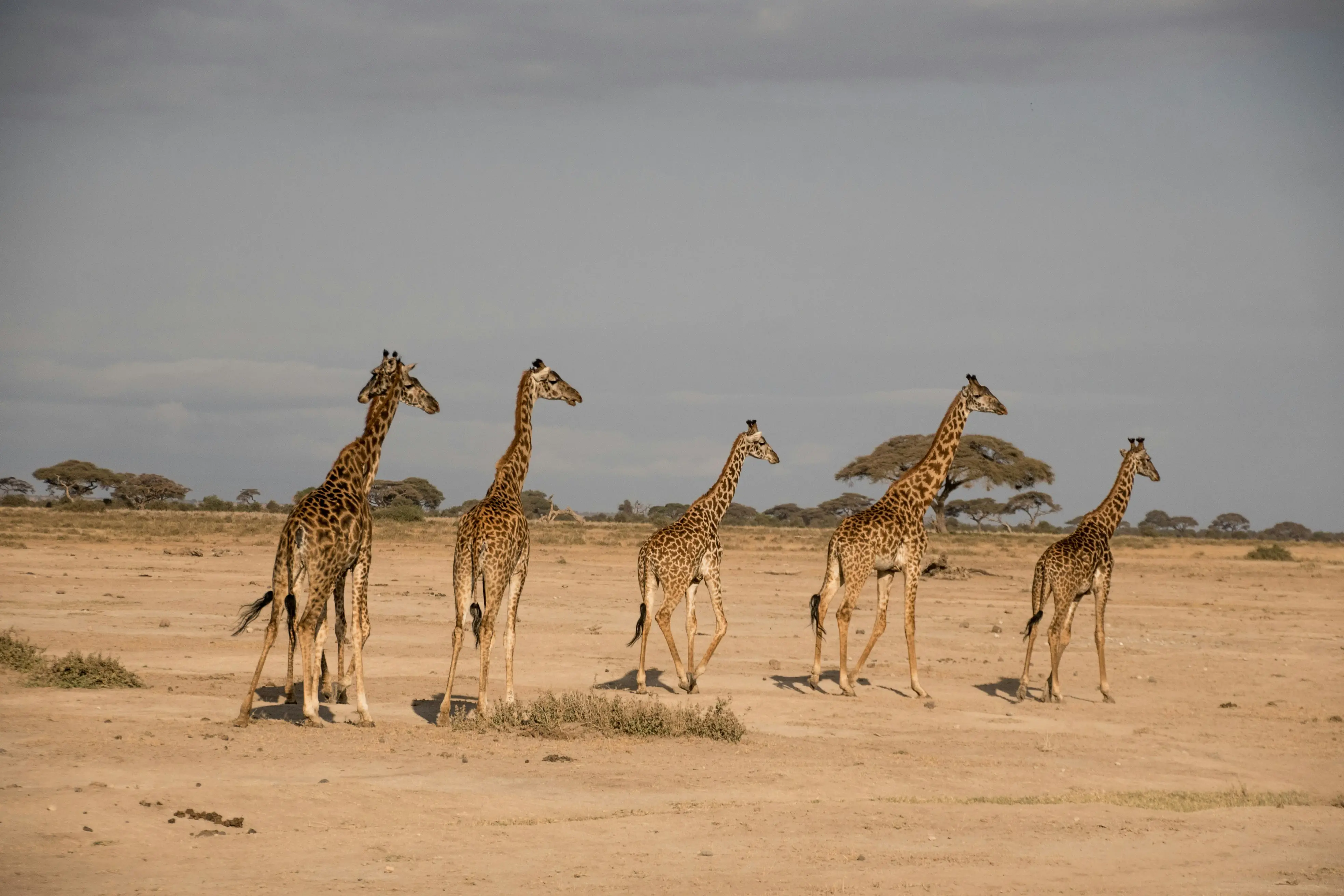 Arusha National Park