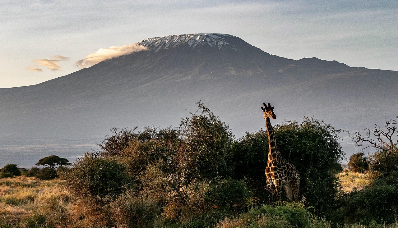 7 Days Machame Route