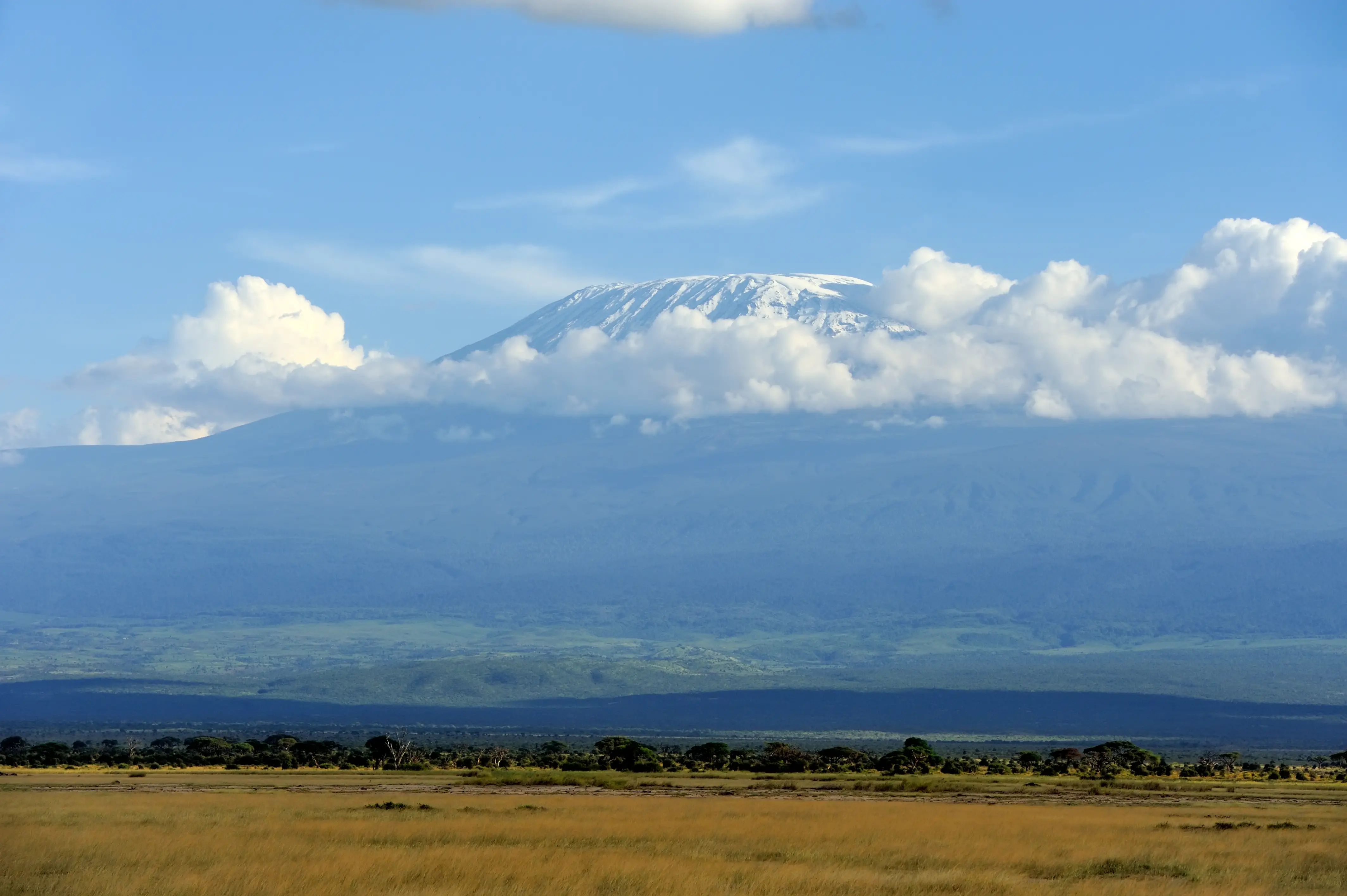 Kilimanjaro Landscape
