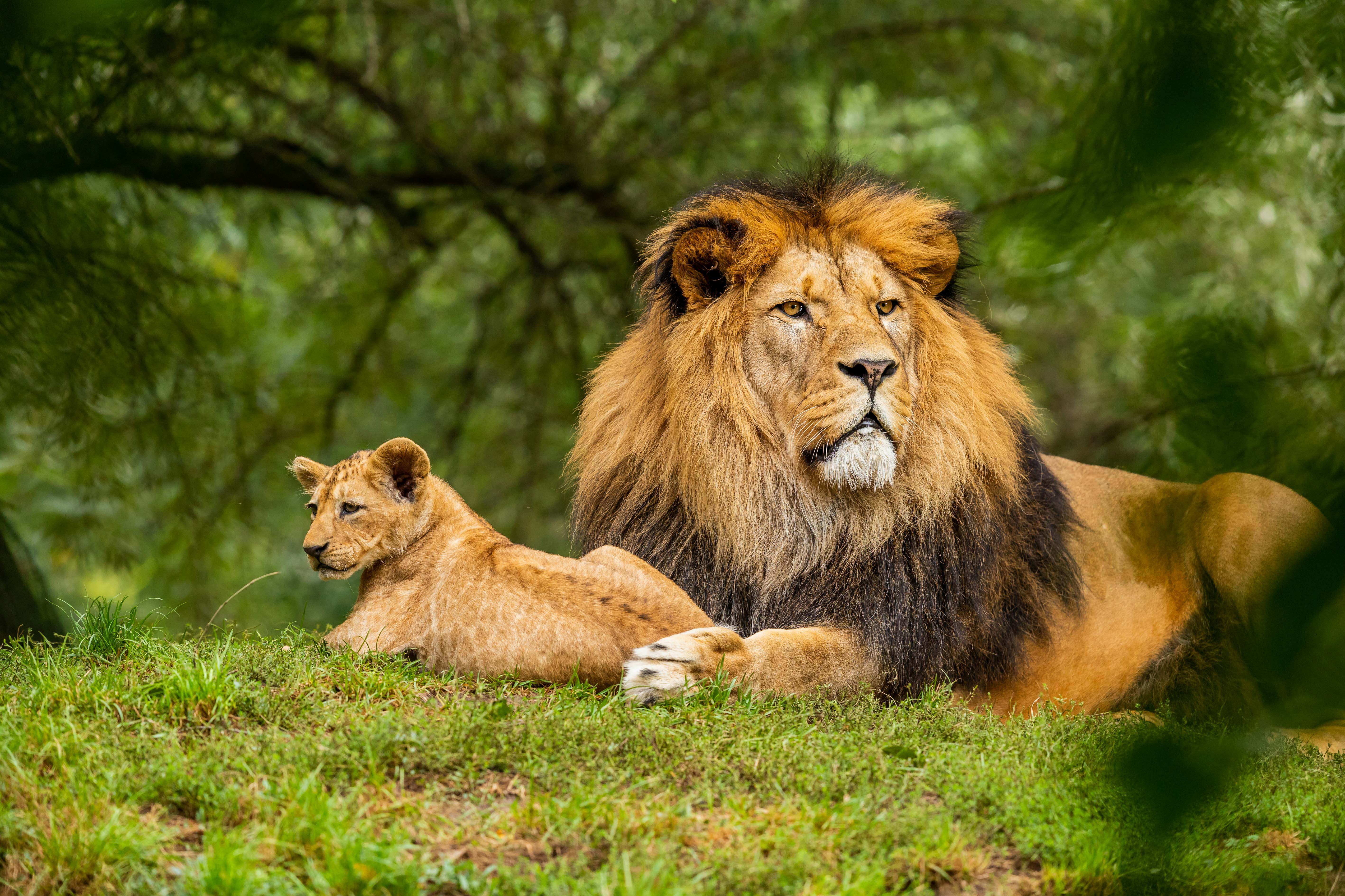 Tarangire & Ngorongoro