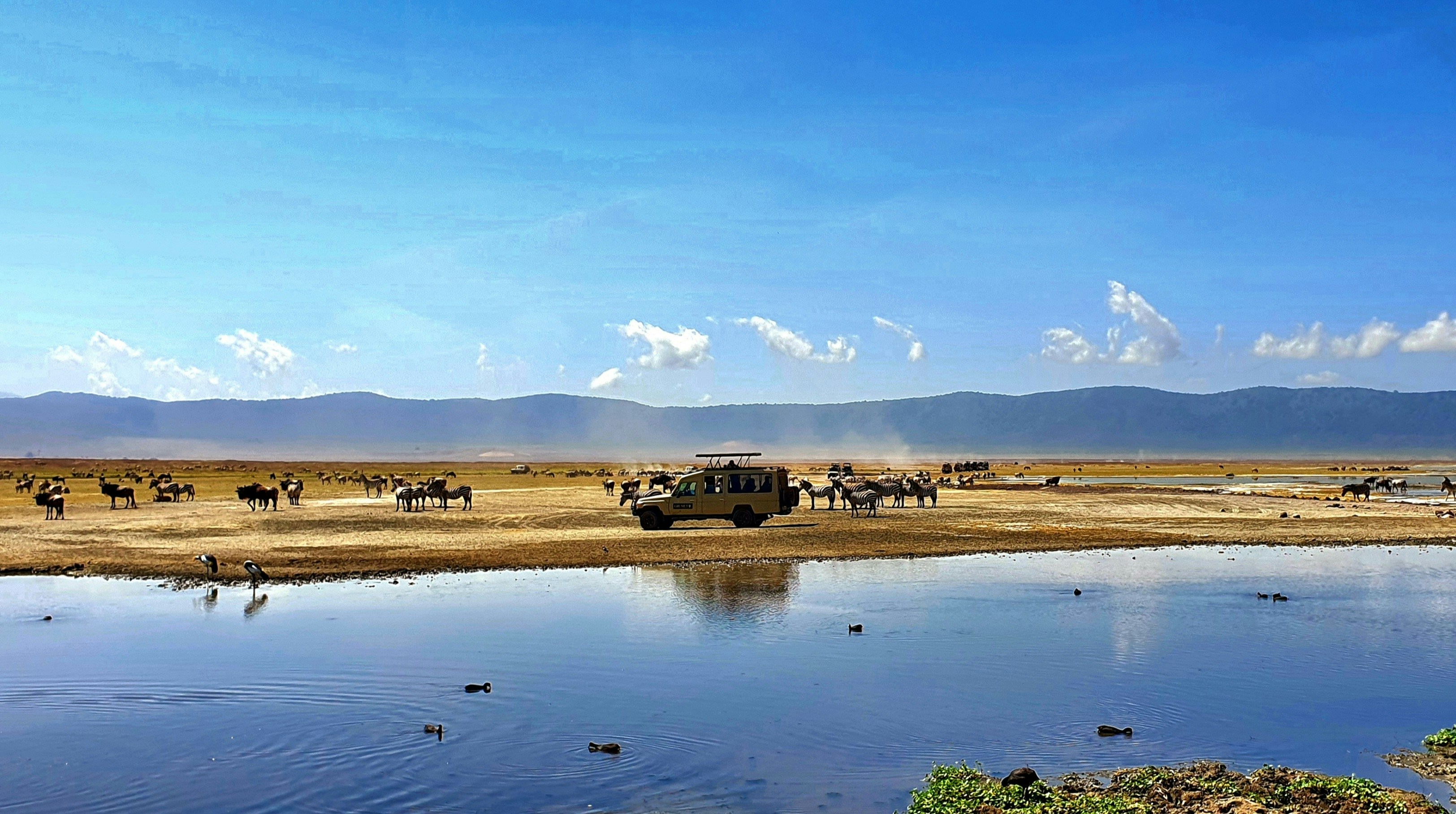 Lake Manyara scenic views