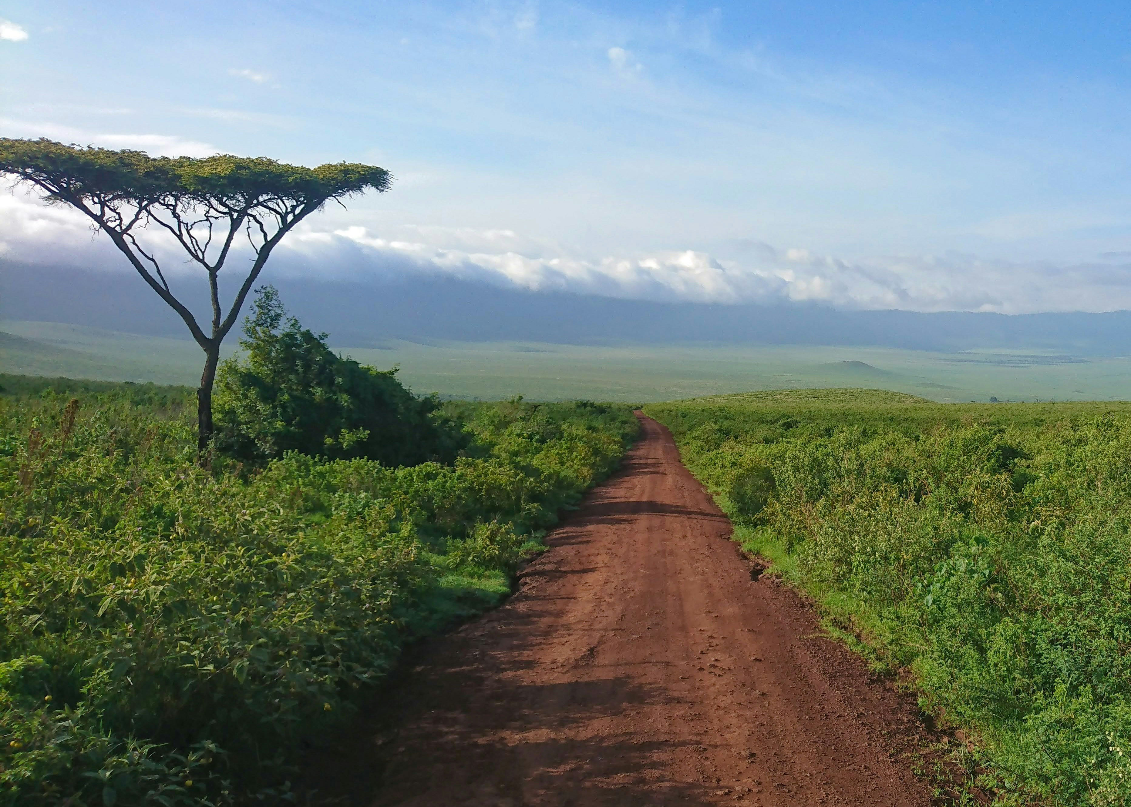 Ngorongoro Crater