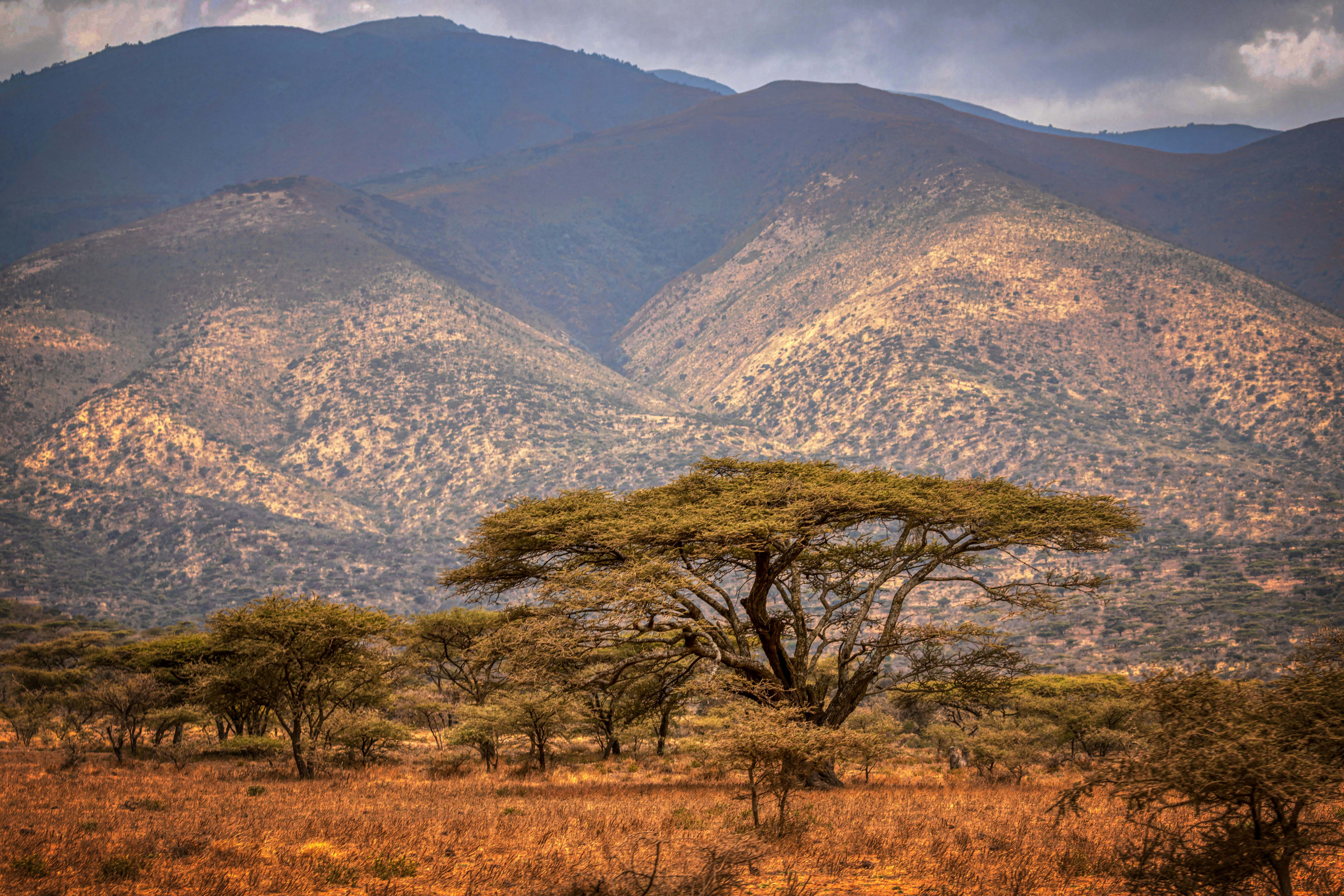 Ngorongoro Crater