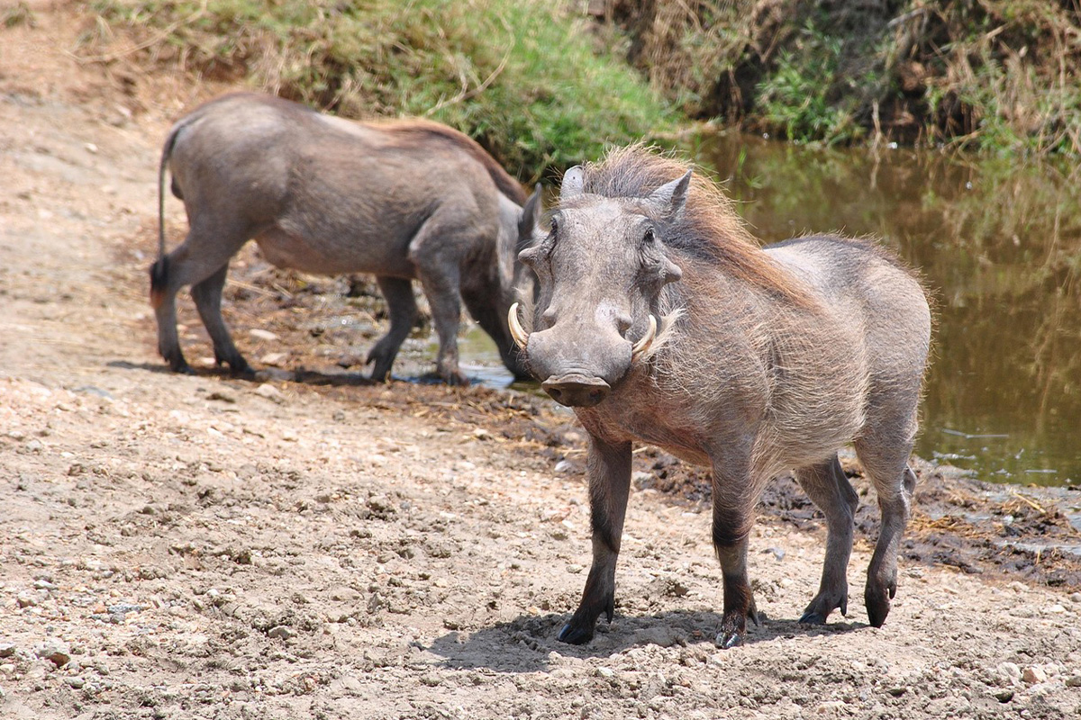 Serengeti National Park