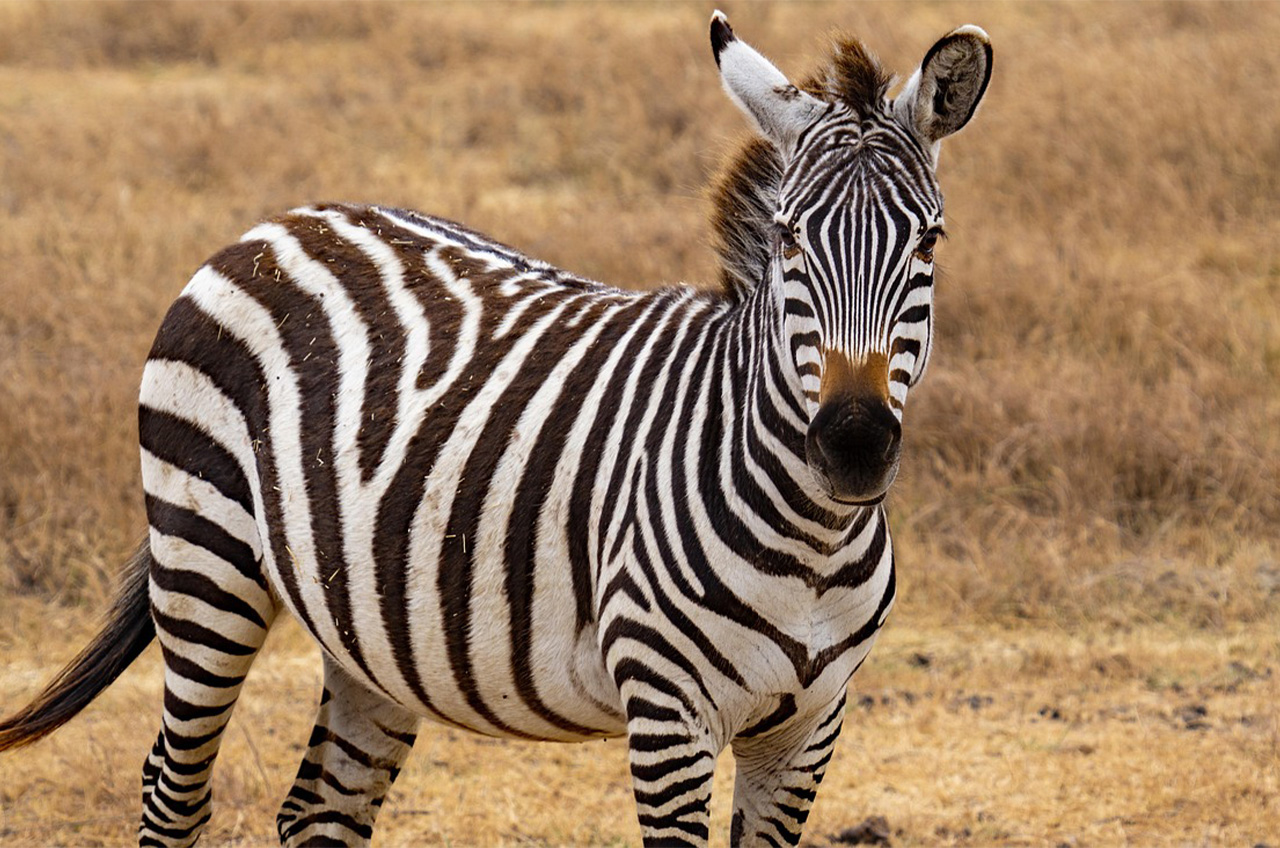 Serengeti National Park